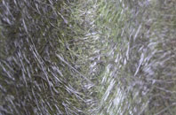 Owthorpe fibreglass roof work